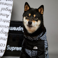 Load image into Gallery viewer, The Dog Face Patterned  Shell Jacket