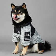 Load image into Gallery viewer, The Dog Face Shell Jacket