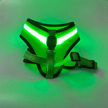 Load image into Gallery viewer, LED Rechargeable Mesh Harness