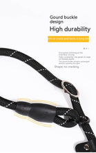 Load image into Gallery viewer, Padded Handle Slip Lead