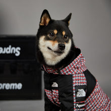 Load image into Gallery viewer, The Dog Face Patterned  Shell Jacket