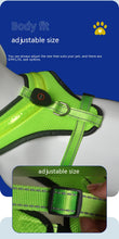 Load image into Gallery viewer, LED Rechargeable Mesh Harness