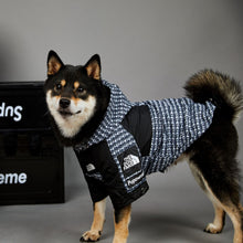 Load image into Gallery viewer, The Dog Face Patterned  Shell Jacket