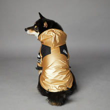 Load image into Gallery viewer, Black and Gold Shell Jacket