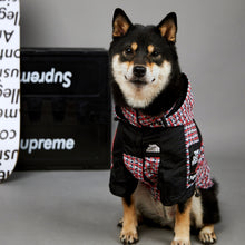 Load image into Gallery viewer, The Dog Face Patterned  Shell Jacket
