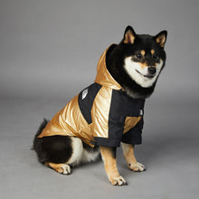 Load image into Gallery viewer, Black and Gold Shell Jacket