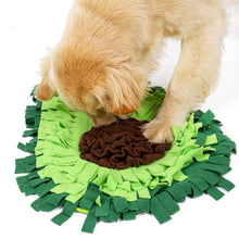 Load image into Gallery viewer, Dog Sniffing Mat Puzzle Toy