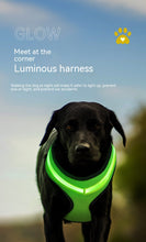 Load image into Gallery viewer, LED Rechargeable Mesh Harness