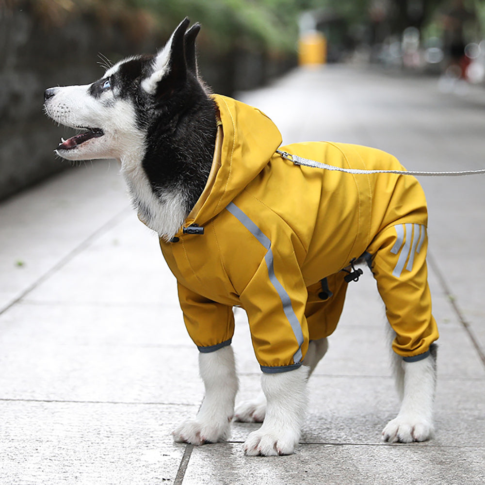 Dog Raincoat With Hood