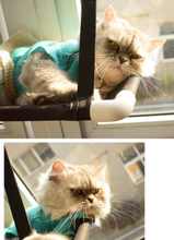 Load image into Gallery viewer, Cat window hammock
