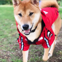 Load image into Gallery viewer, Rainproof THE DOG FACE Jacket
