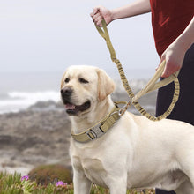 Load image into Gallery viewer, Nylon Dog Collars Large And Medium-sized Dogs Pet Collars
