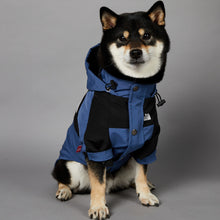 Load image into Gallery viewer, The Dog Face Blue  Shell Jacket
