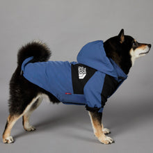 Load image into Gallery viewer, The Dog Face Blue  Shell Jacket
