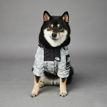 Load image into Gallery viewer, The Dog Face Shell Jacket
