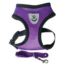 Load image into Gallery viewer, Mesh Dog Harness &amp; Lead Set
