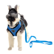 Load image into Gallery viewer, Mesh Dog Harness &amp; Lead Set
