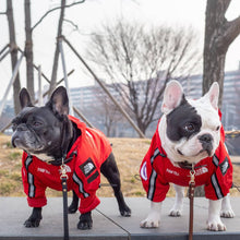 Load image into Gallery viewer, Rainproof THE DOG FACE Jacket
